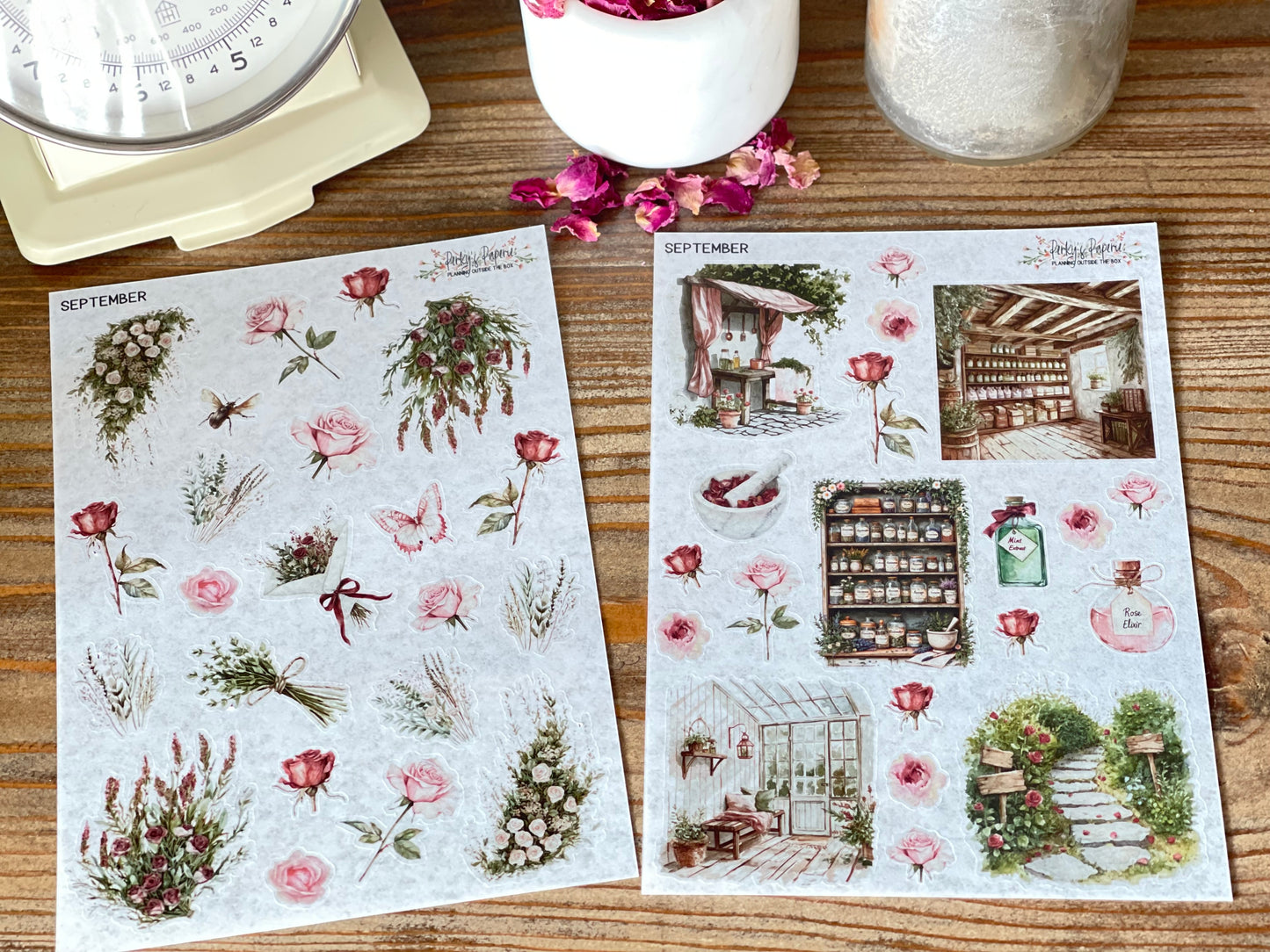 Monthly Sticker Subscription Box – 5 Washi Sticker Sheets + Exclusive Monthly Themed Goodies - Cancel Anytime