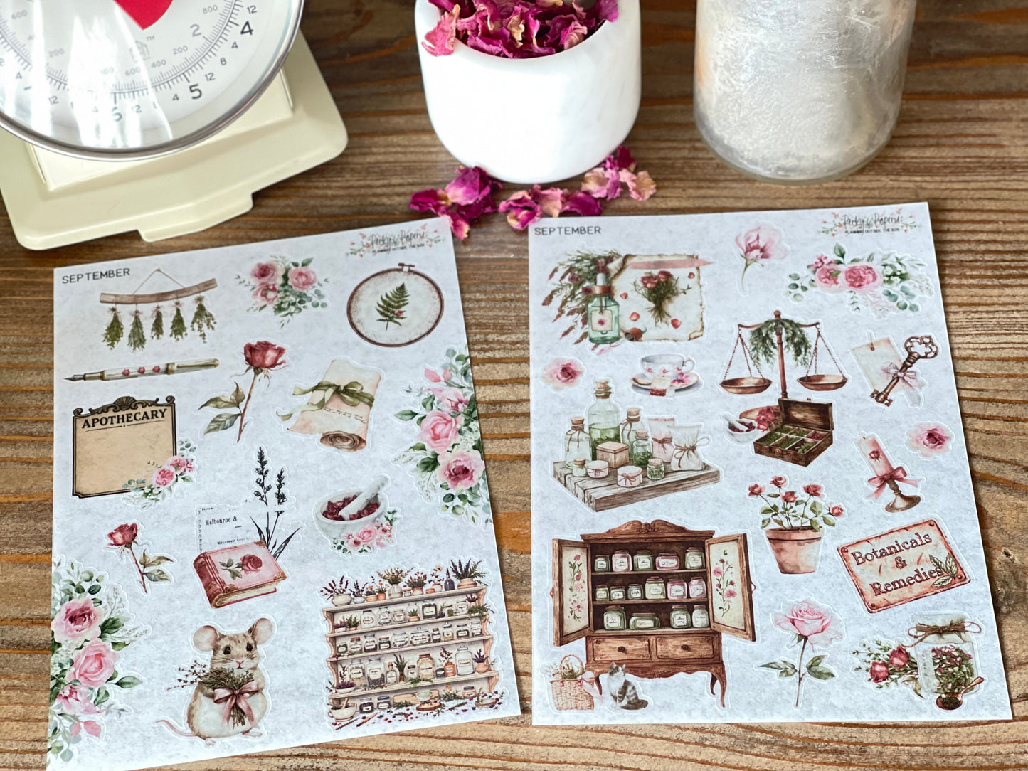 Monthly Sticker Subscription Box – 5 Washi Sticker Sheets + Exclusive Monthly Themed Goodies - Cancel Anytime